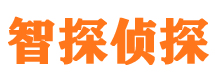 东宝市调查公司